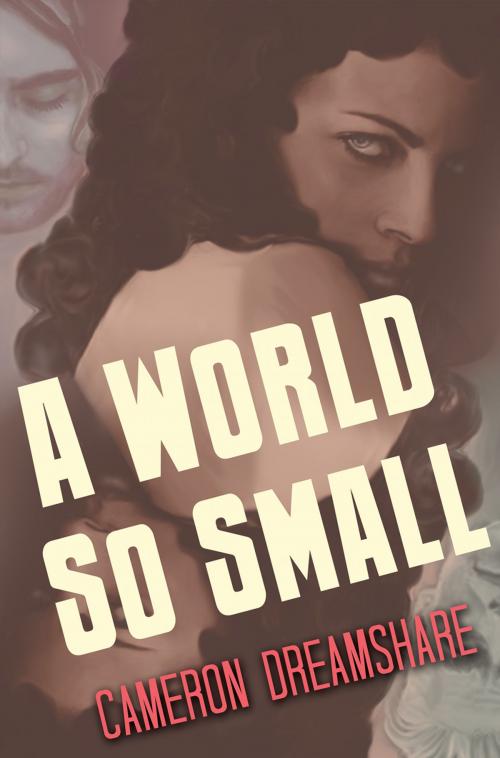 Cover of the book A World So Small by Cameron Dreamshare, Studio Dreamshare