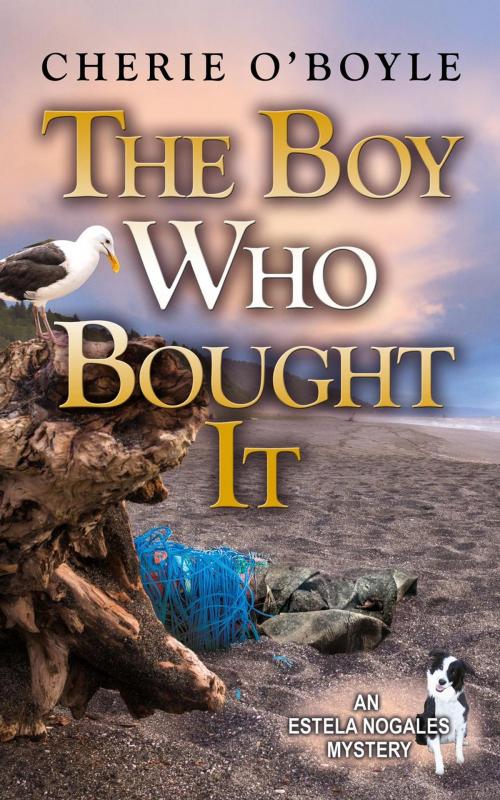 Cover of the book The Boy Who Bought It by Cherie O'Boyle, Cherie O'Boyle