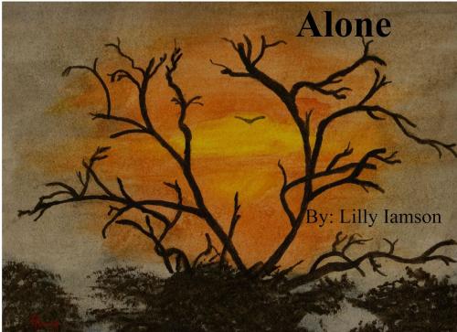 Cover of the book Alone by Lilly Iamson, Elizabeth Hubert
