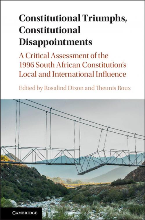 Cover of the book Constitutional Triumphs, Constitutional Disappointments by , Cambridge University Press