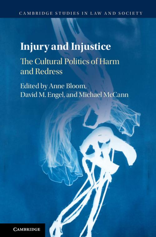 Cover of the book Injury and Injustice by , Cambridge University Press
