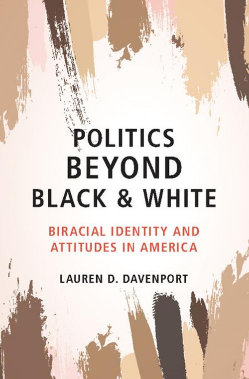 Cover of the book Politics beyond Black and White by Lauren D. Davenport, Cambridge University Press