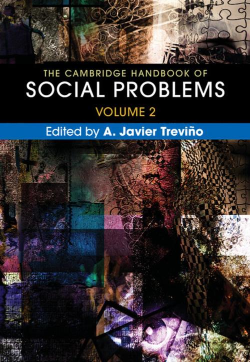 Cover of the book The Cambridge Handbook of Social Problems: Volume 2 by , Cambridge University Press