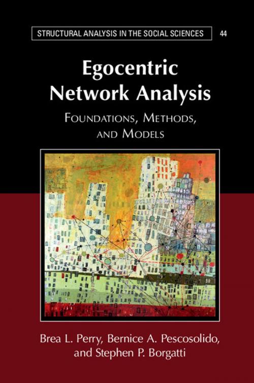Cover of the book Egocentric Network Analysis by Brea L. Perry, Bernice A. Pescosolido, Stephen P. Borgatti, Cambridge University Press