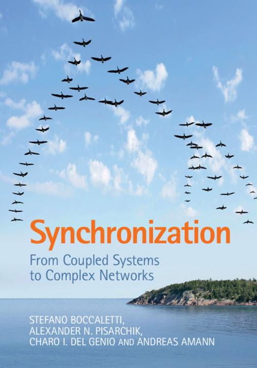 Cover of the book Synchronization by Stefano Boccaletti, Alexander N. Pisarchik, Charo I. del Genio, Andreas Amann, Cambridge University Press