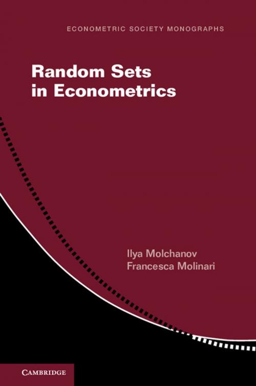 Cover of the book Random Sets in Econometrics by Ilya Molchanov, Francesca Molinari, Cambridge University Press