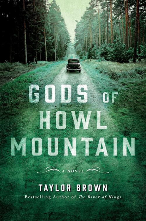 Cover of the book Gods of Howl Mountain by Taylor Brown, St. Martin's Press