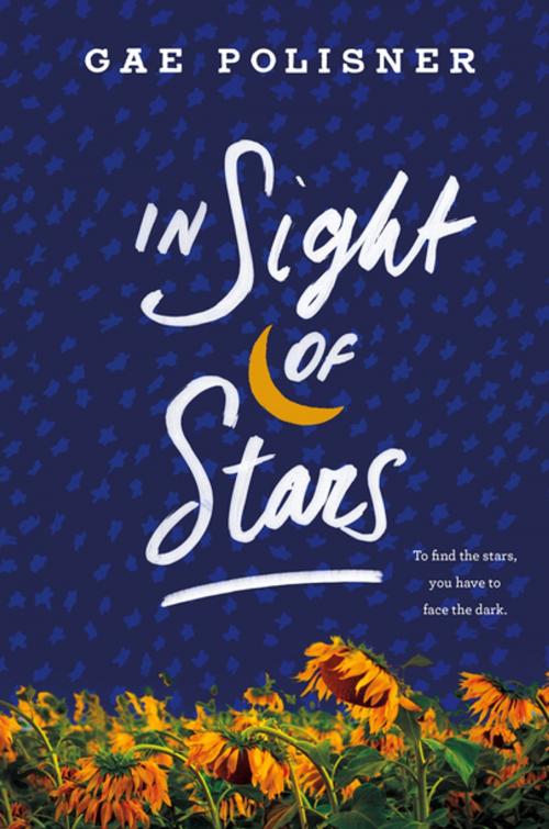 Cover of the book In Sight of Stars by Gae Polisner, St. Martin's Press