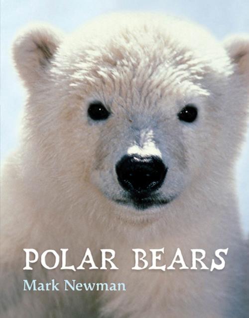 Cover of the book Polar Bears by Mark Newman, Henry Holt and Co. (BYR)