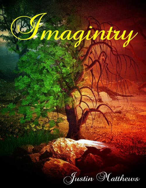 Cover of the book Imagintry by Justin Matthews, Lulu.com