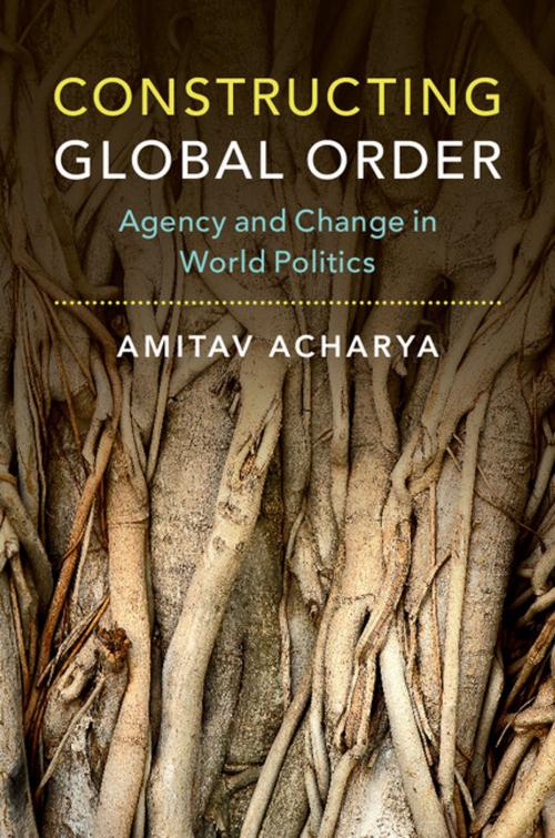 Cover of the book Constructing Global Order by Amitav Acharya, Cambridge University Press