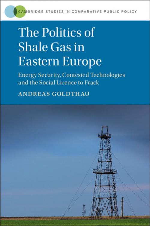 Cover of the book The Politics of Shale Gas in Eastern Europe by Andreas Goldthau, Cambridge University Press