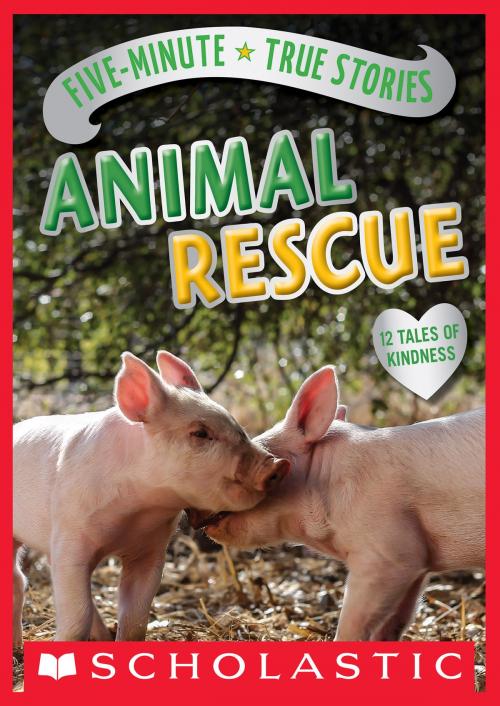 Cover of the book Five-Minute True Stories: Animal Rescue by Aubre Andrus, Scholastic Inc.