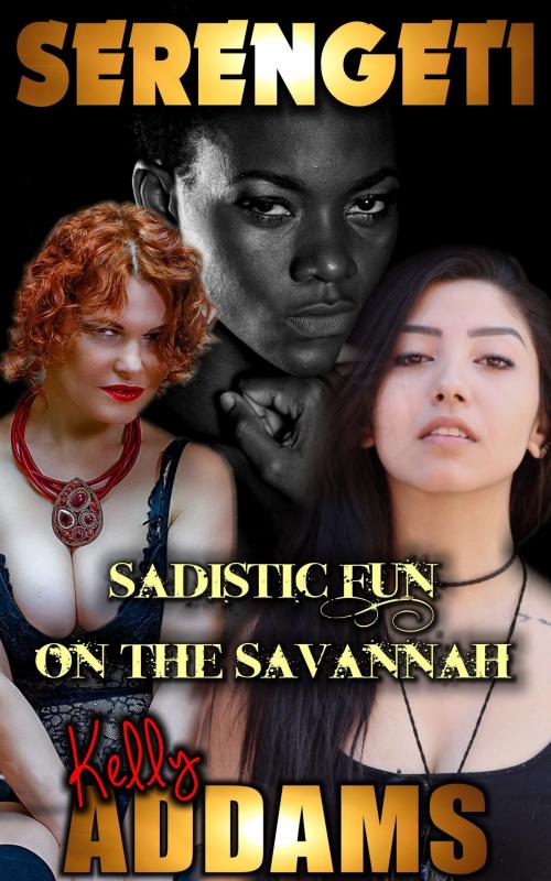 Cover of the book Serengeti: Sadistic Fun On The Savannah by Kelly Addams, PMO Publishing
