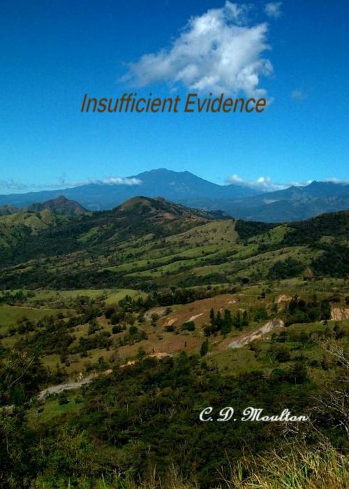 Cover of the book Insufficient Evidence by CD Moulton, CD Moulton