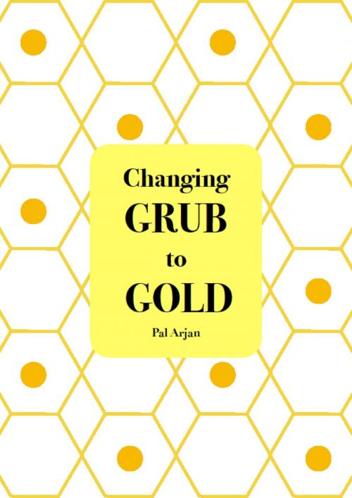 Cover of the book Changing Grub to Gold by Pal Arjan, Pal Arjan