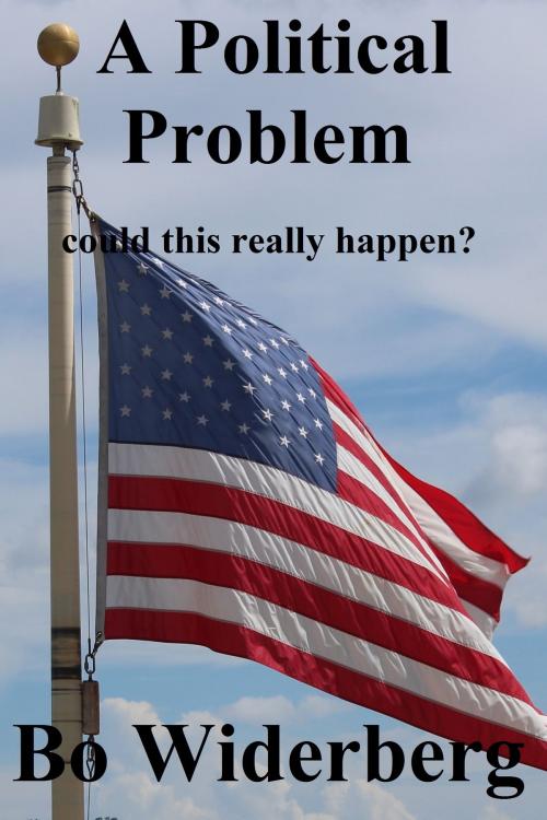 Cover of the book A Political Problem Could This Really Happen? by Bo Widerberg, Bo Widerberg