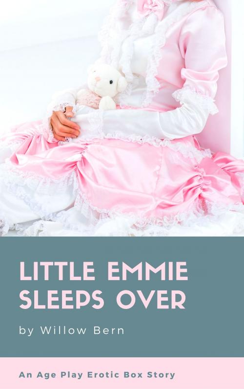 Cover of the book Little Emmie Sleeps Over by Willow Bern, Willow Bern