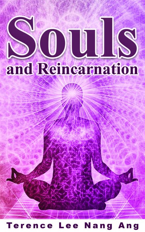 Cover of the book Souls And Reincarnation by Terence Lee Nang Ang, Terence Lee Nang Ang