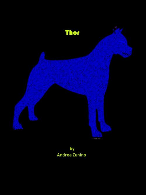 Cover of the book Thor by Andrea Zunino, Andrea Zunino