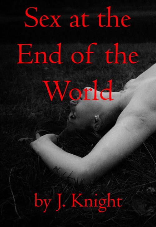 Cover of the book Sex at the End of the World by J. Knight, Knight Books