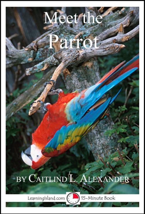 Cover of the book Meet the Parrot by Caitlind L. Alexander, LearningIsland.com