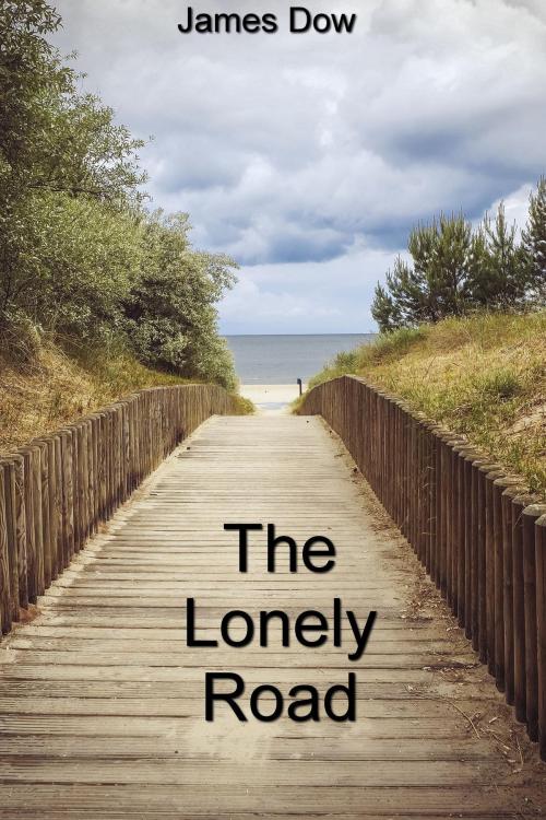 Cover of the book The Lonely Road by Jim Dow, Jim Dow