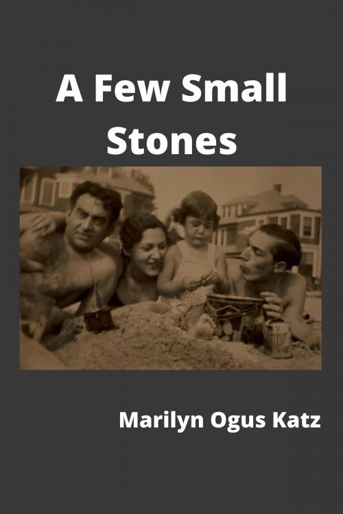 Cover of the book A Few Small Stones by Marilyn Katz, Unsolicited Press
