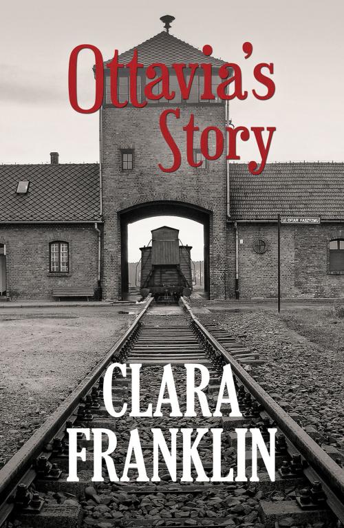 Cover of the book Ottavia's Story by Clara Franklin, Austin Macauley