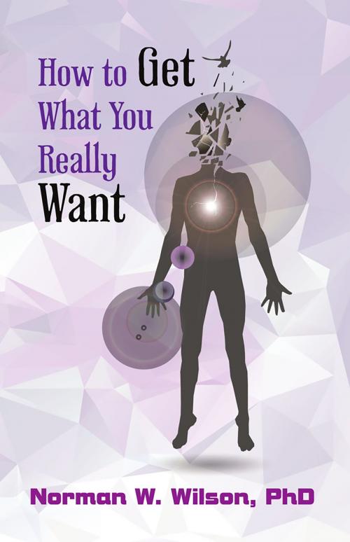 Cover of the book How To Get What You Really Want by Norman W. Wilson, Fiction4All