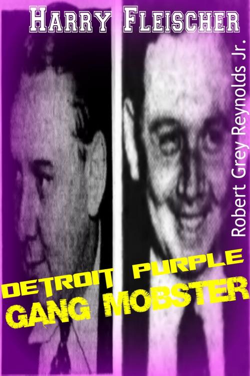 Cover of the book Harry Fleischer Detroit Purple Gang Mobster by Robert Grey Reynolds Jr, Robert Grey Reynolds, Jr