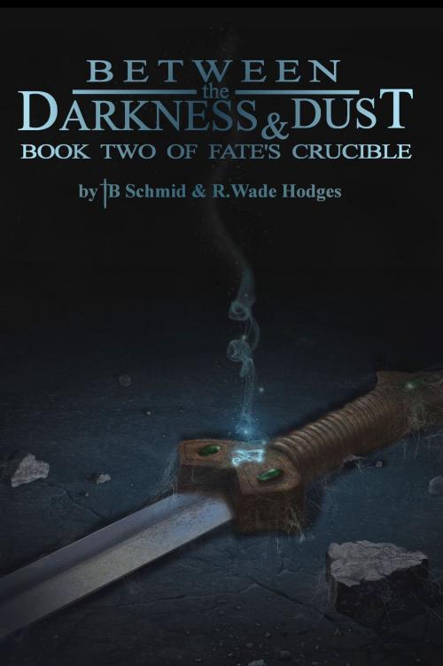 Cover of the book Between the Darkness and Dust by T.B. Schmid, R.Wade Hodges, T.B. Schmid