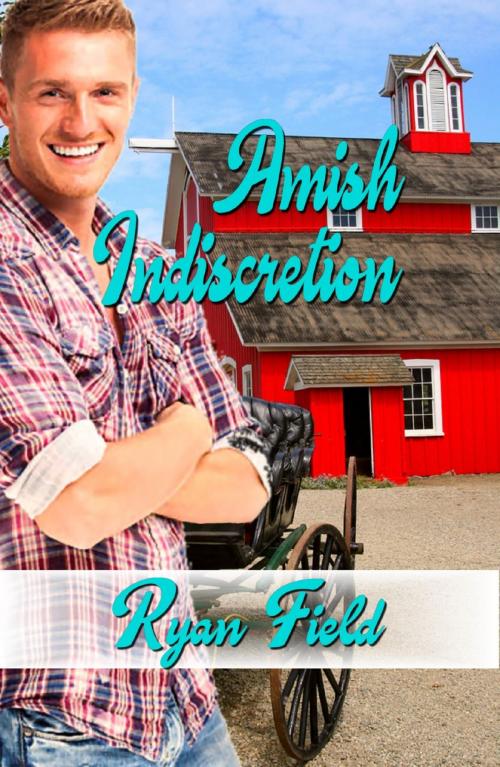 Cover of the book Amish Indiscretion by Ryan Field, Ryan Field