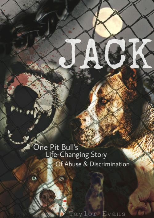 Cover of the book Jack by Taylor Evans, Taylor Evans