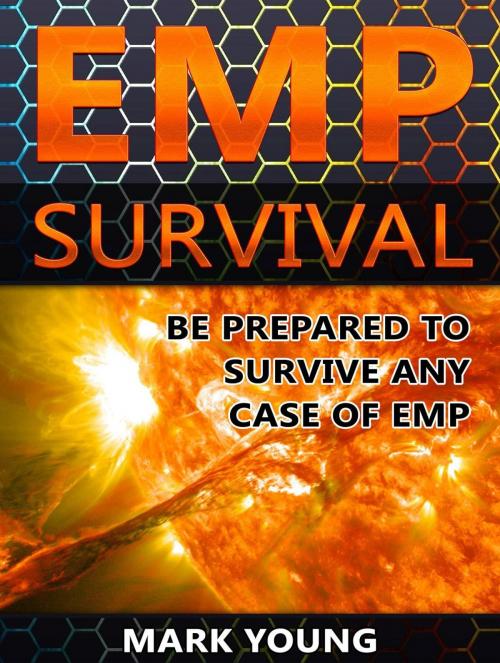 Cover of the book EMP Survival: Be Prepared To Survive Any Case of EMP by Mark Young, Publishing 4U