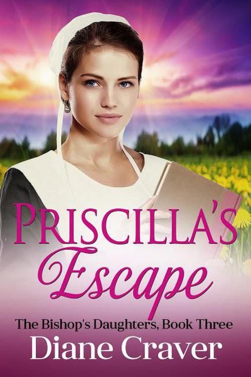 Cover of the book Priscilla's Escape by Diane Craver, Diane Craver