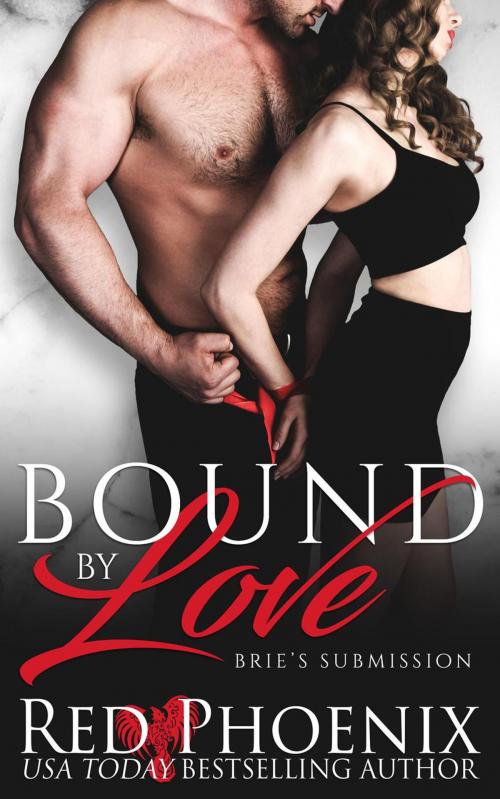 Cover of the book Bound by Love by Red Phoenix, Provocative Romance