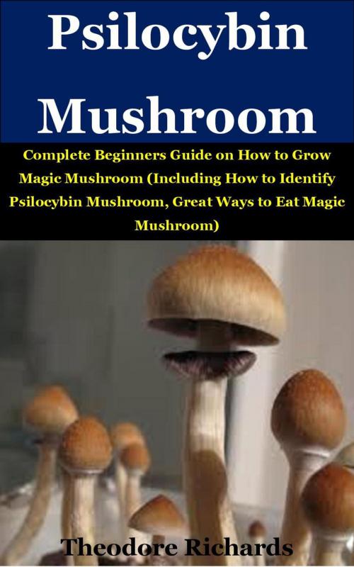 Cover of the book Psilocybin Mushroom by Theodore Richard, Theodore Richard