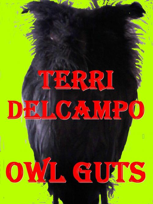 Cover of the book Owl Guts by Terri DelCampo, Blazing Owl Press