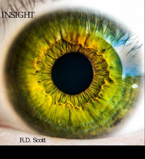 Cover of the book Insight by R. D. Scott, R. D. Scott