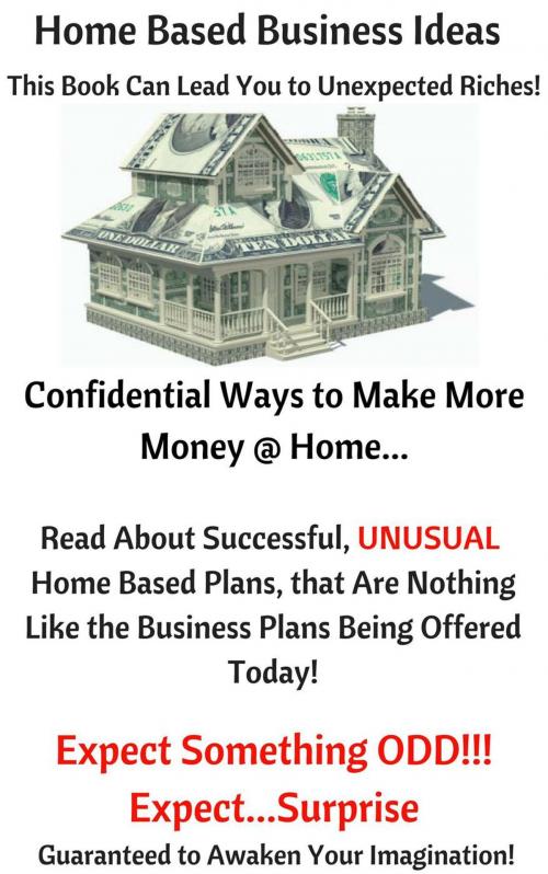 Cover of the book Home Based Business Ideas by Darryl Craig, Darryl Craig