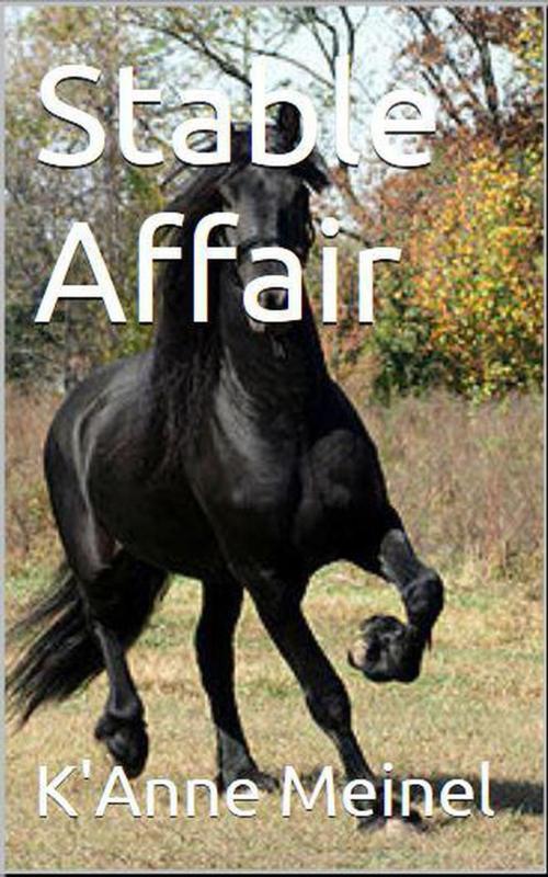 Cover of the book Stable Affair by K'Anne Meinel, Shadoe Publishing