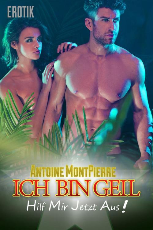 Cover of the book Ich bin geil, hilf mir jetzt aus: Erotik by Antoine Montpierre, eBook Media Publishing