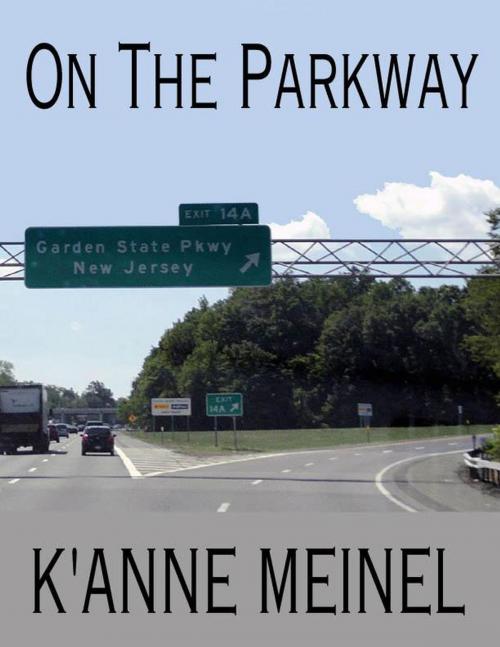Cover of the book On the Parkway by K'Anne Meinel, Shadoe Publishing