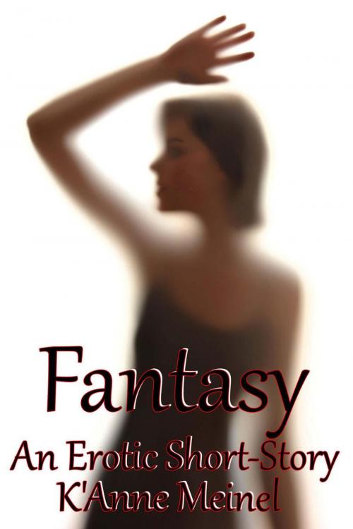 Cover of the book Fantasy by K'Anne Meinel, Shadoe Publishing