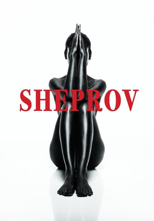 Cover of the book SheProv by Akilah Logan, Akilah Logan