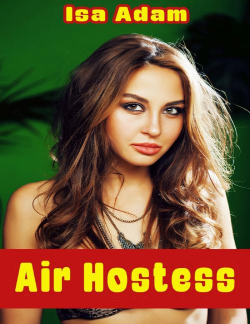 Cover of the book Air Hostess by Isa Adam, Lulu.com