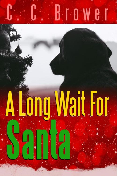Cover of the book A Long Wait for Santa by C. C. Brower, Midwest Journal Press