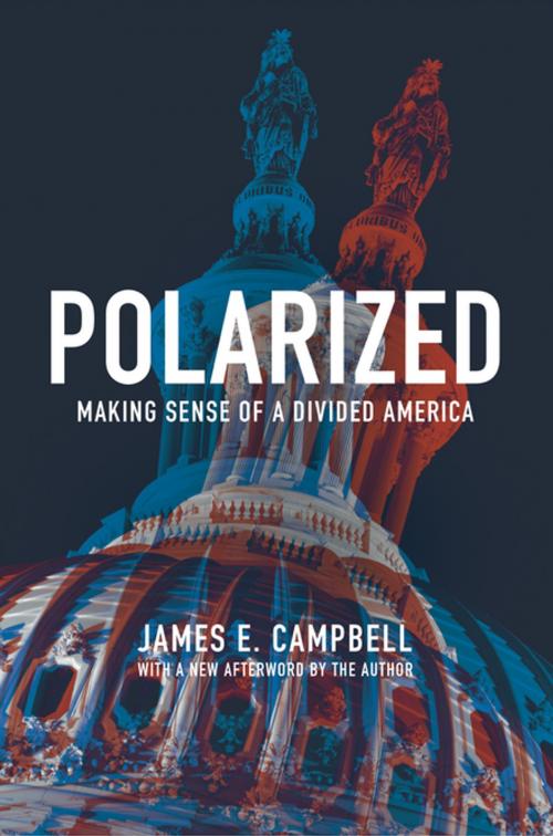Cover of the book Polarized by James E. Campbell, Princeton University Press