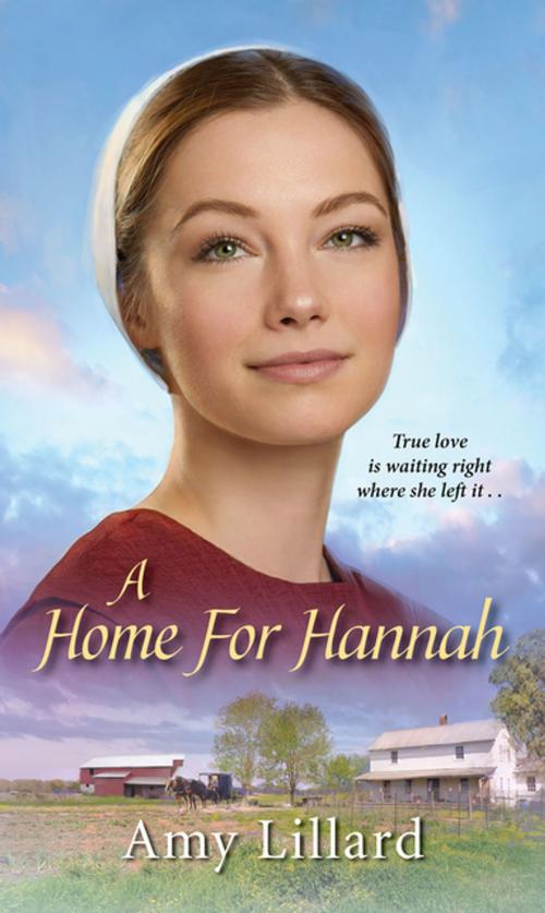 Cover of the book A Home for Hannah by Amy Lillard, Zebra Books